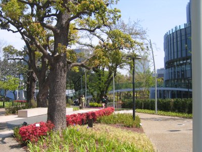 東京ミッドタウン　ガーデン